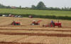A variety of old tractors ploughing 