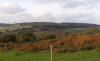 Autumn on the Quantock Hills 
