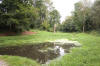 Pond at Hestercombe 