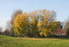 Autumn colours at Apex 