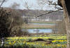 Daffodil Meadow and the Beaulieu River.  