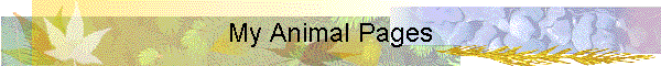 My Animal Pages