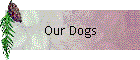 Our Dogs