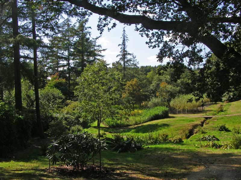 Landscape garden, Windsor Great Park 