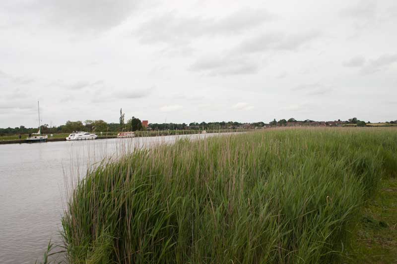 River Yare at Reedham Ferry  