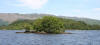 Island in Loch Lomond 