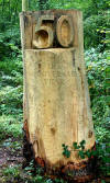 Carved stump marking 50 years of the National Arboretum 