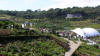Gardens at the Eden Project