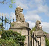 Lions on gate posts 