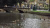 Ducks on the river at Bourton 