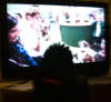 Charlie watching Crufts on TV 