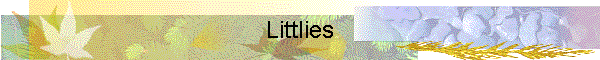 Littlies