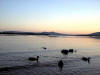 Sunset Milarrochy Bay